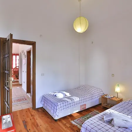 Kedi Apart Center Kaş